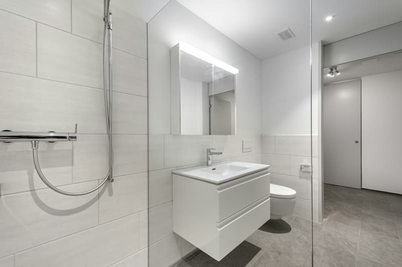 Modern Living in Green Surroundings - 2.5-Room Apartment in Wetzikon (8)