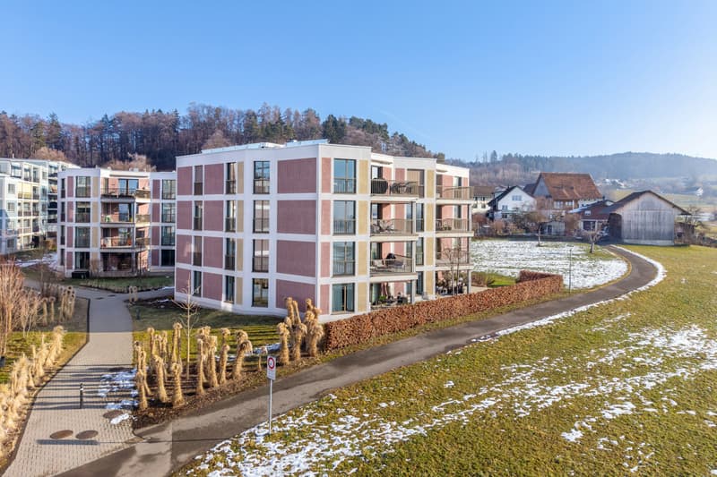 Modern Living in Green Surroundings - 2.5-Room Apartment in Wetzikon (12)