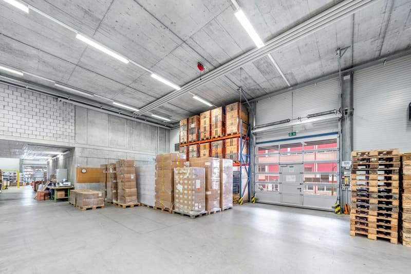 3'200 m² di magazzino riscaldato con scaffalature alte incl. carrelli elevatori Jungheinrich e 180 m² di spazio per uffici (3)