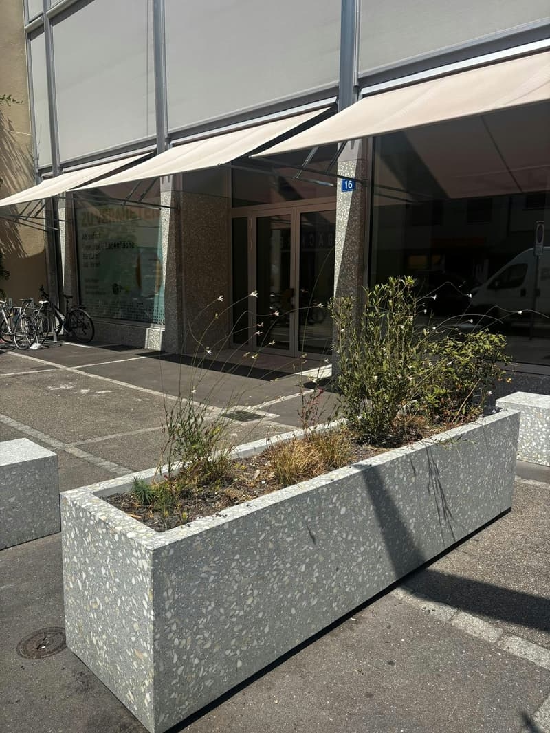 Ihre Gewerbe- Ladenfläche im St. Johann (4)