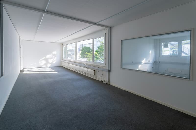 Die optimale Gewerbefläche in Allschwil (6)