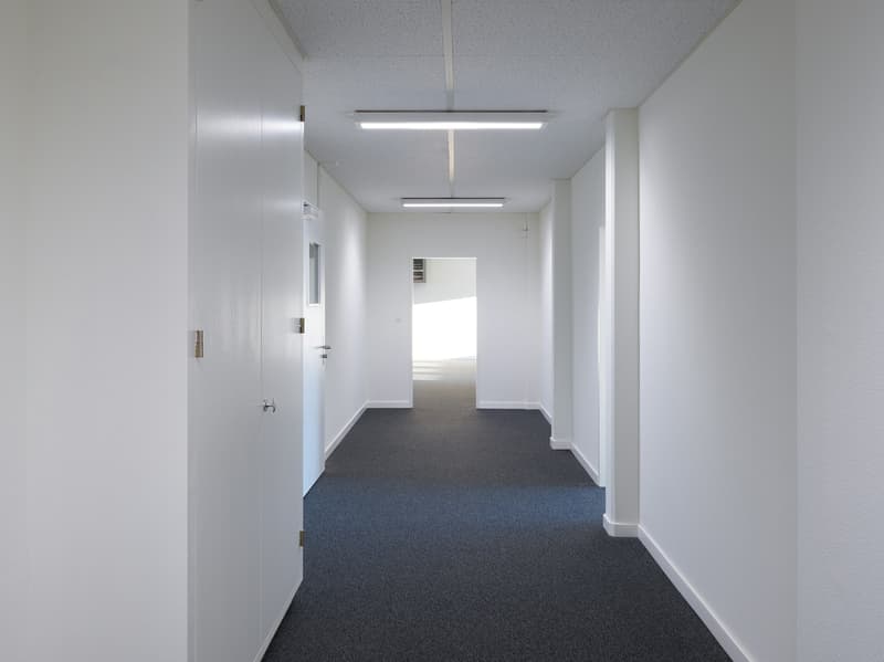 Arbeiten, wo Basel lebt - Bürofläche mit Charakter 1 Monat gratis (9)