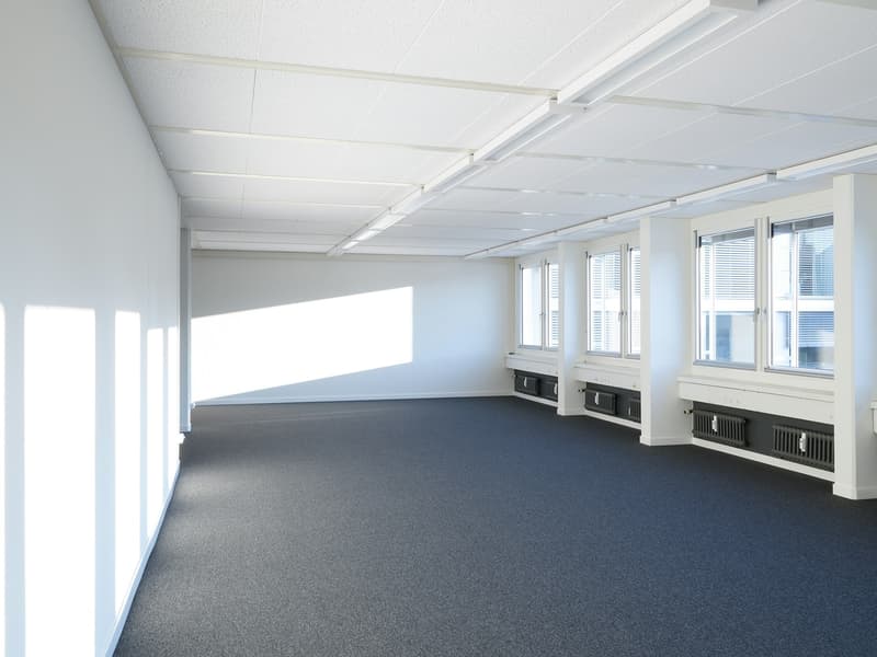 Arbeiten, wo Basel lebt - Bürofläche mit Charakter 1 Monat gratis (7)