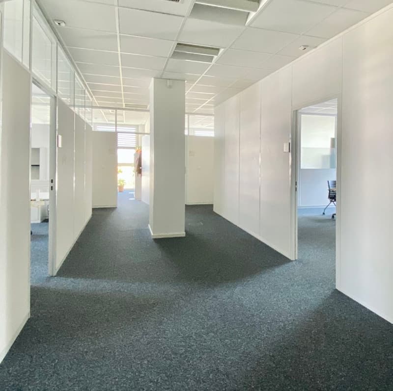 Raumwerk Allschwil-Gewerbe ab 920m²in Allschwil BL (5)