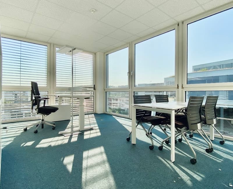 Vielfältige Büroflächen ab 750 m² zu vermieten (4)