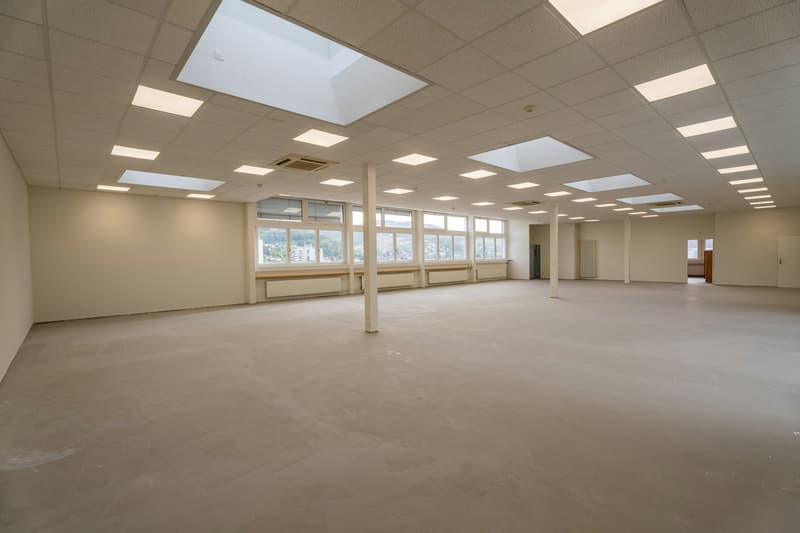 TOP BÜRO- UND GEWERBEFLÄCHE MIT ATRIUM UND AUSSICHT IN PRATTELN (4)