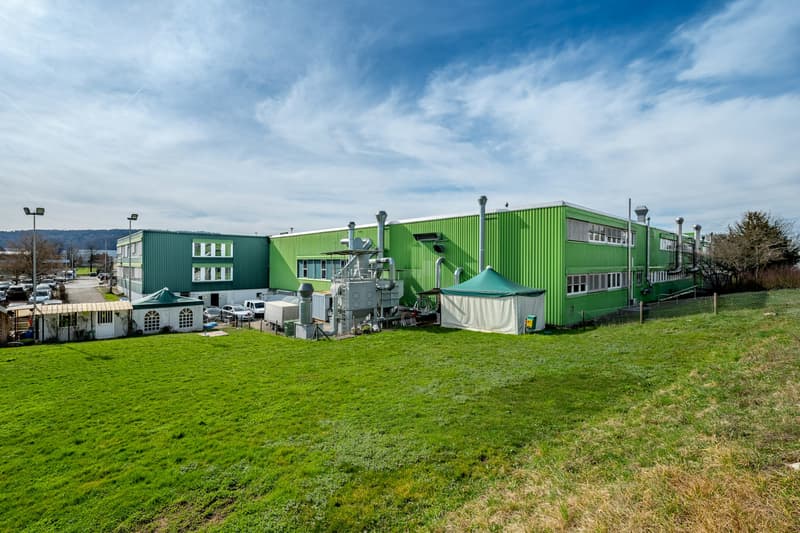 Gewerbe- und Produktionsflächen mit Büro ab 2'000 m² - flexibel und gut angebunden (2)