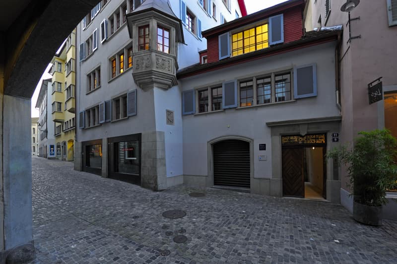 Spazi ufficio unici nella storica casa Salomon Gessner (6)