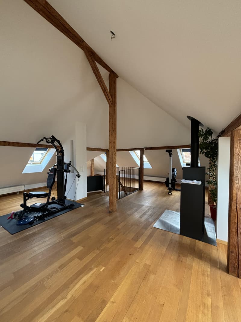 Appartement mansardé charmant dans un emplacement calme et attractif ! (2)