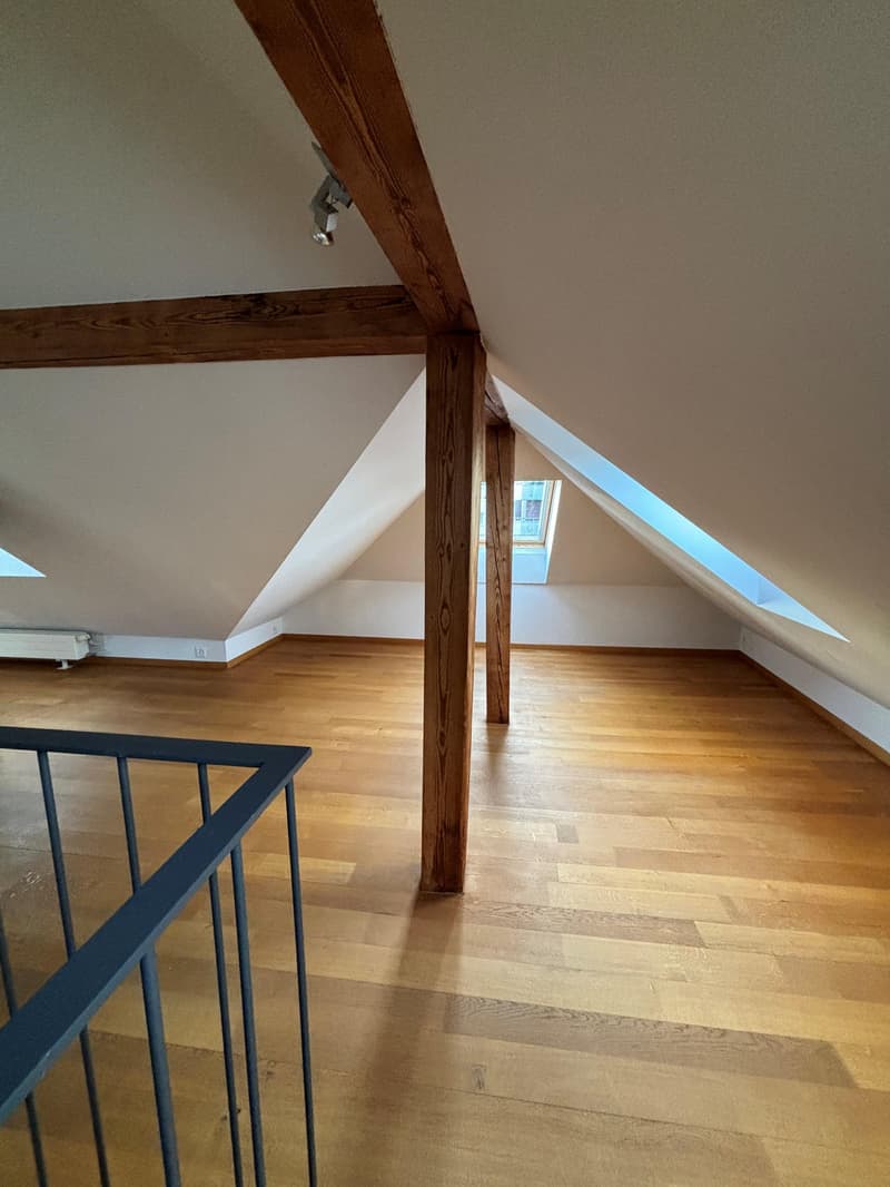 Appartement mansardé charmant dans un emplacement calme et attractif ! (4)