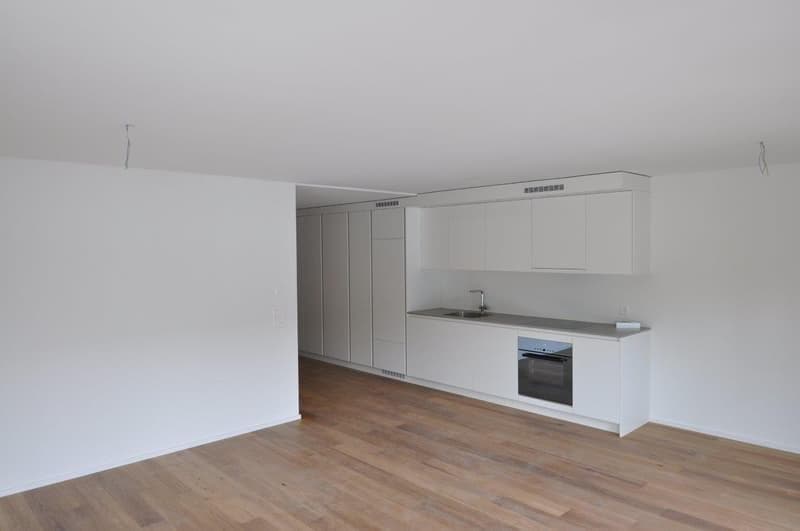 Appartamento 2.5 locali a Pfaffhausen (2)