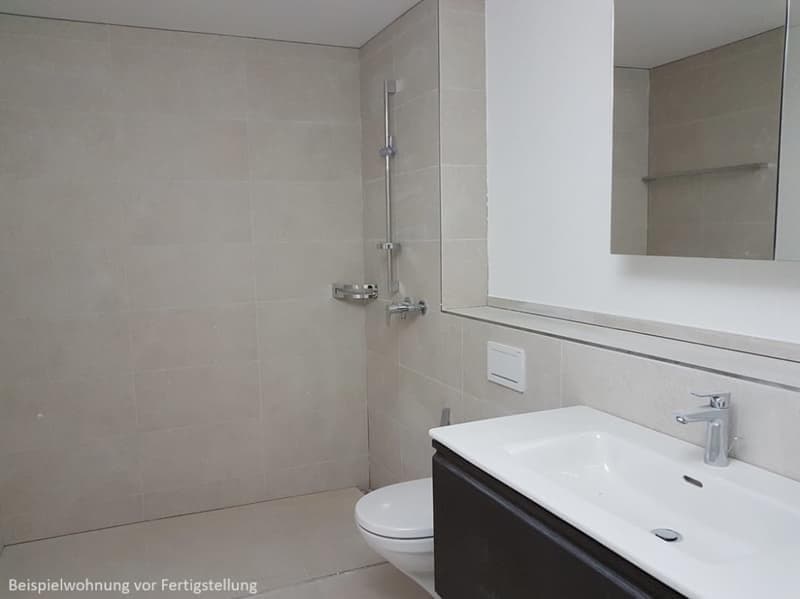 Appartamento 2.5 locali a Pfaffhausen (4)
