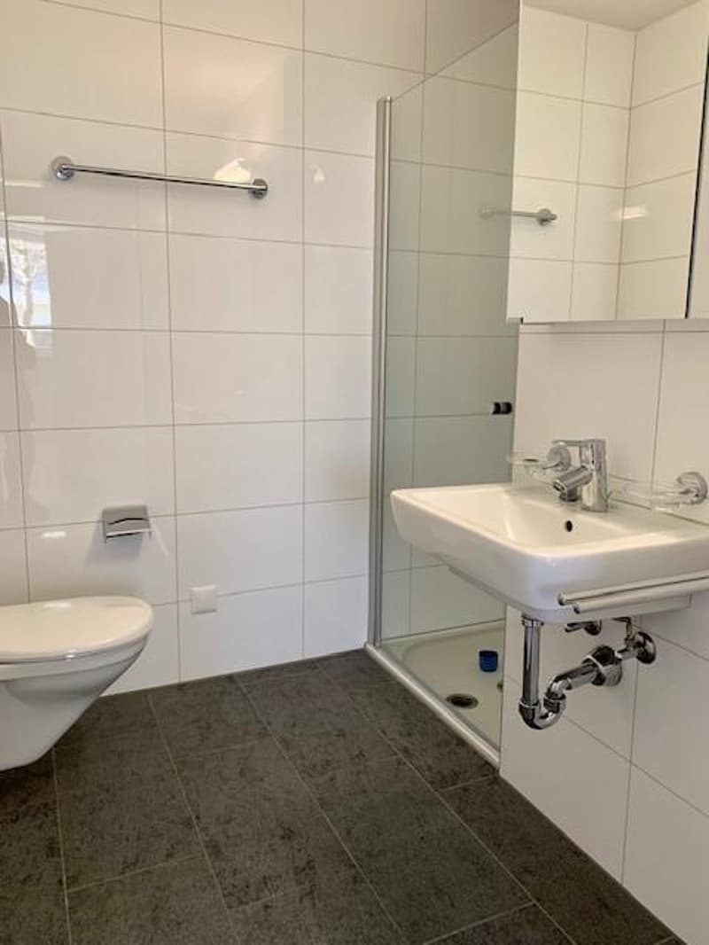4.5 room apartment in Sursee (7)