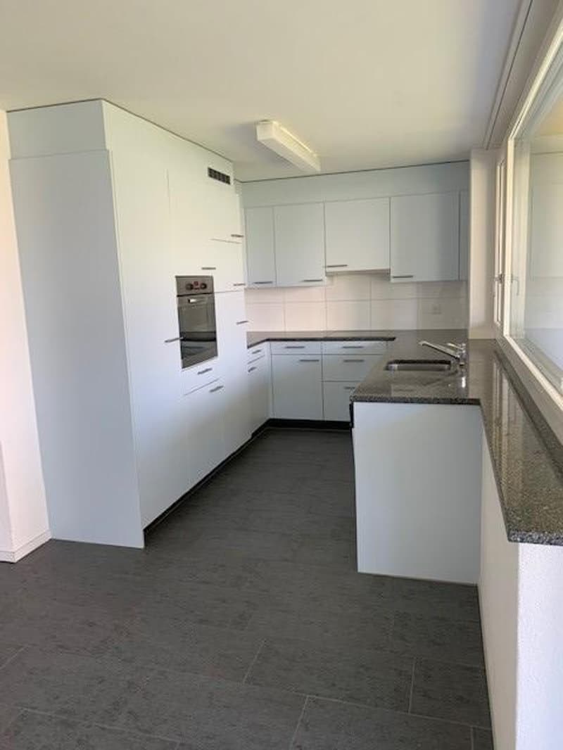 4.5 room apartment in Sursee (3)
