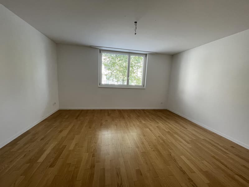 4.5 room apartment in Sursee (5)