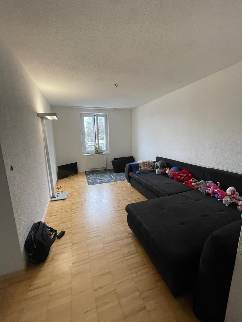 Appartamento centrale di 4,5 locali a Horgen (5)