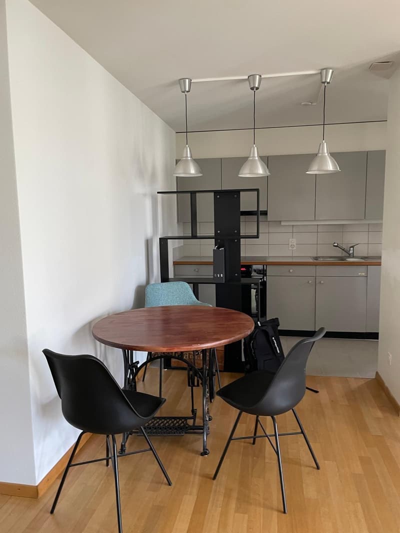 1.5-Zimmerwohnung in Zürich (4)