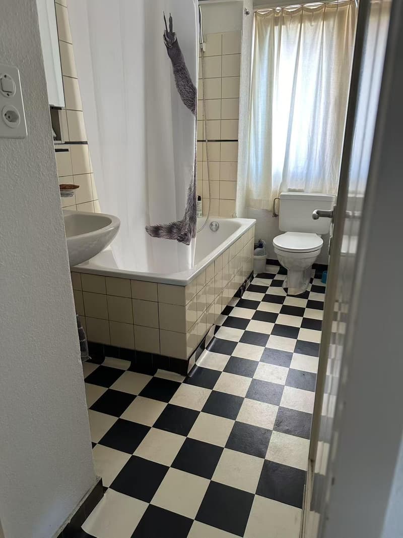 2.0 Zimmerwohnung in Schlieren (5)