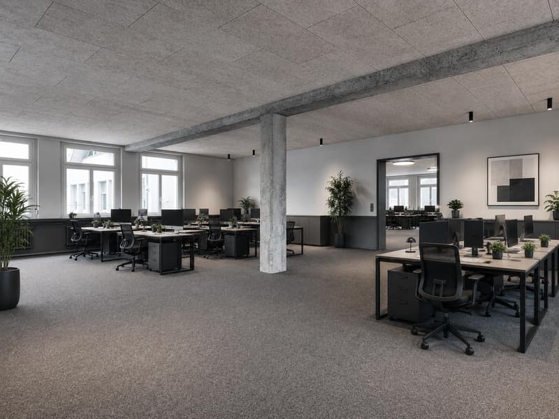 Erstbezug: Hochwertig renoviertes Büro mit grosszügiger Terrasse in Schlieren (3)