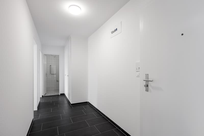Ruhig wohnen, stadtnah leben Ihr neues Zuhause in Winterthur-Seen (4)