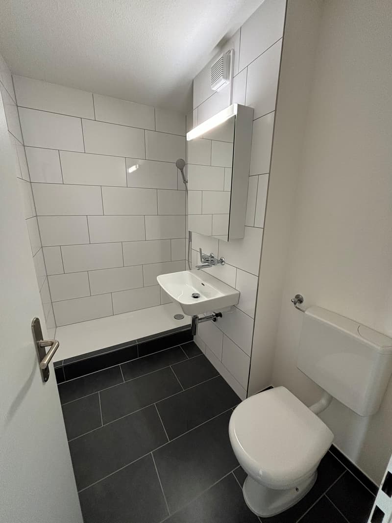 Ruhig wohnen, stadtnah leben Ihr neues Zuhause in Winterthur-Seen (3)