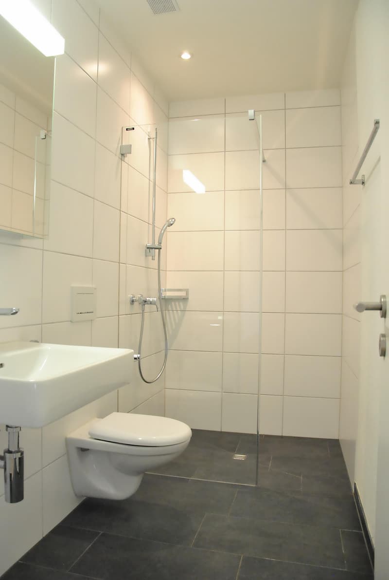 3.5 Zimmerwohnung in Wald ZH (3)