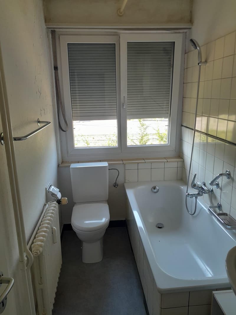 2.0 Zimmerwohnung in Schlieren (befristet) (5)