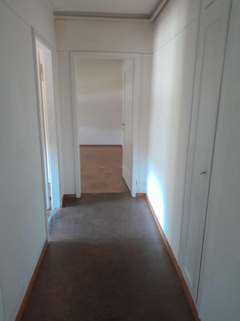 2.0 Zimmerwohnung in Schlieren (befristet) (7)