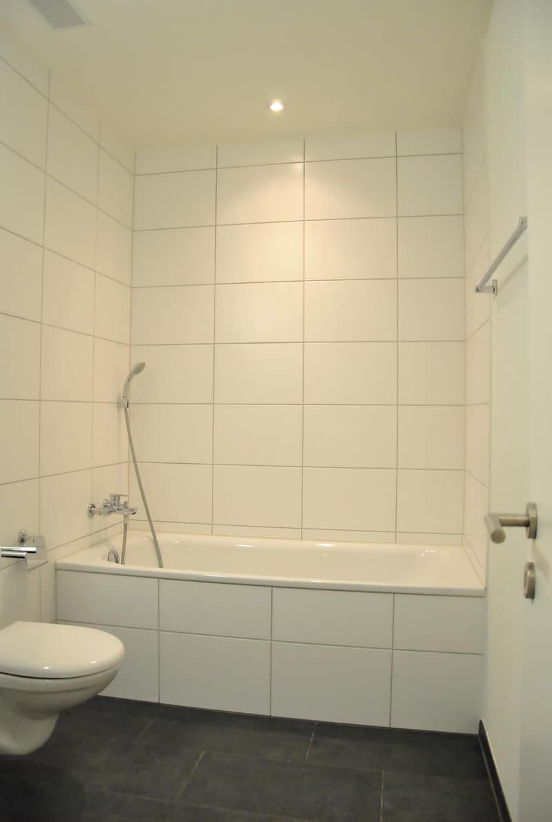 Moderne 3.5-Zimmer-Wohnung (5)