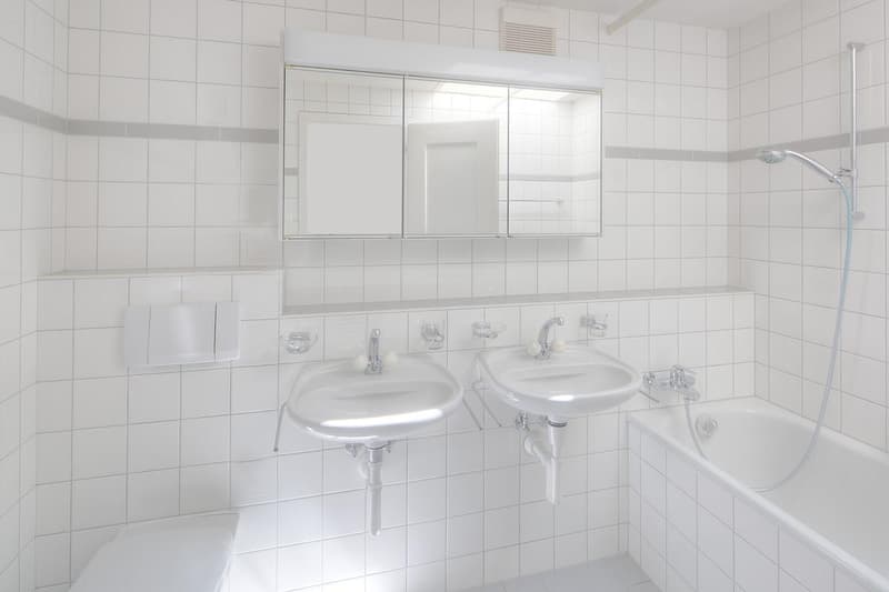 Attraktive Erdgeschosswohnung mit idealer Lage nahe Zürich (7)