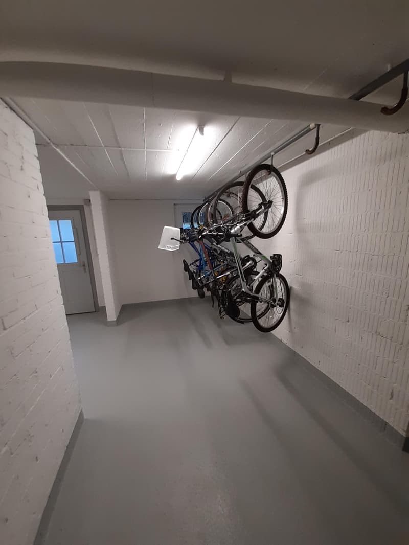 Attraktive Erdgeschosswohnung mit idealer Lage nahe Zürich (11)