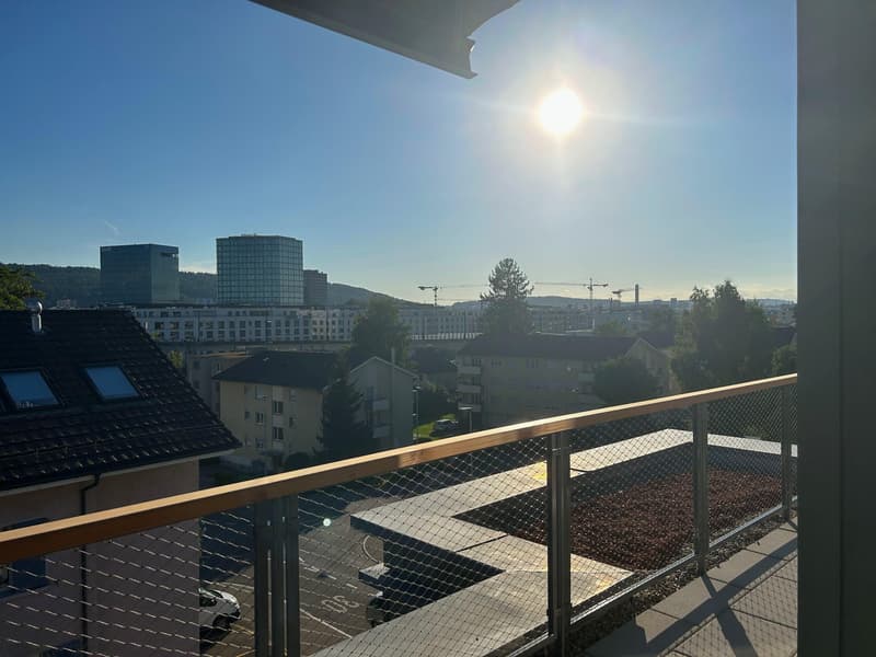 Sonnig, grosszügig, exklusiv Ihre neue Attikawohnung in Wallisellen (11)