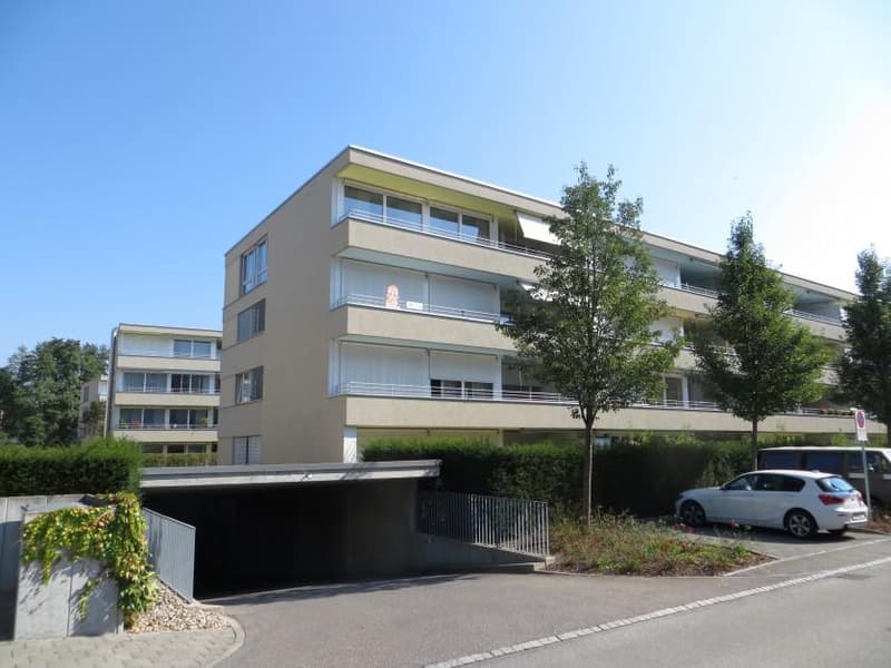 4.5 Zimmerwohnung in Sursee (1)