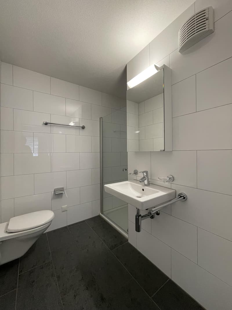 4.5 Zimmerwohnung in Sursee (6)