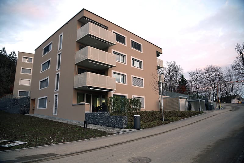 Modernes Zuhause in idyllischer Lage - 2.5 Zimmerwohnung in Wald ZH (2)