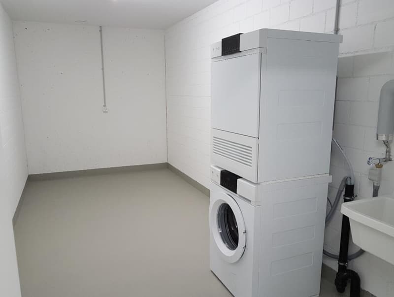 Stilvolle 2.5-Zimmer-Wohnung in Winterthur (6)