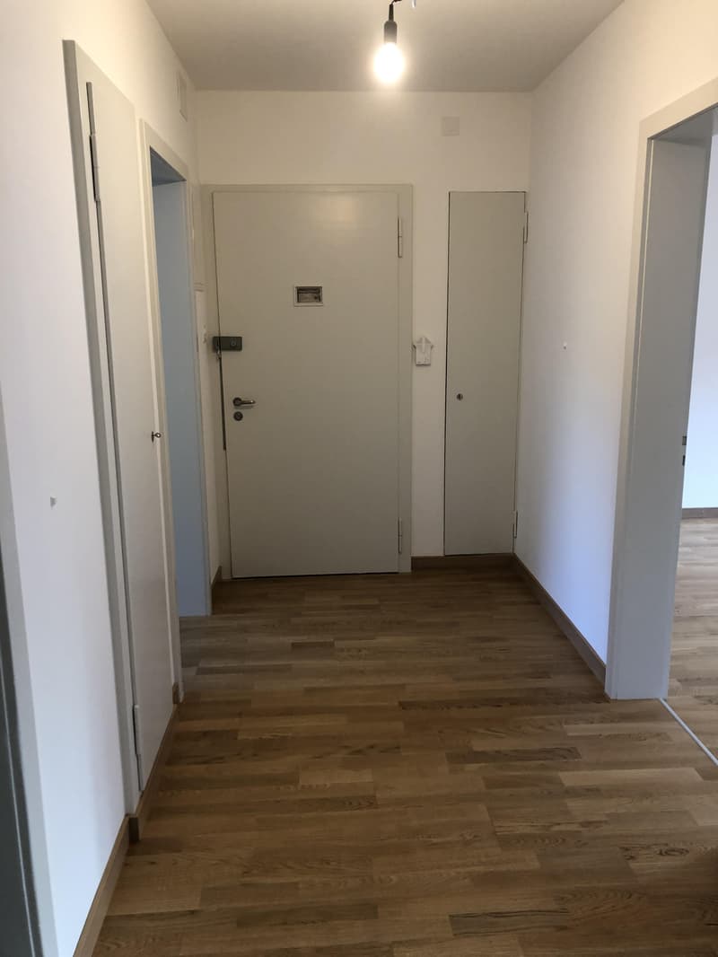 Charmante 3-Zimmerwohnung im Kreis 7 - befristet bis März 2028 (6)