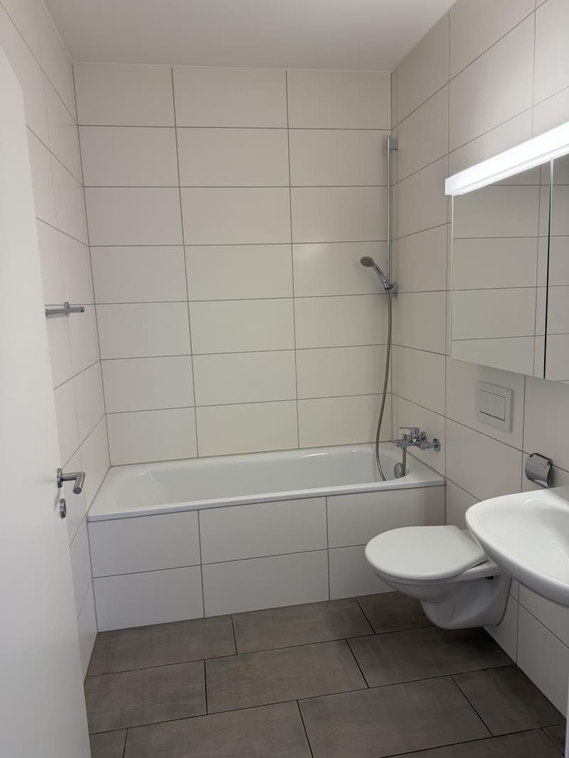 Gewerbe in Spreitenbach (6)