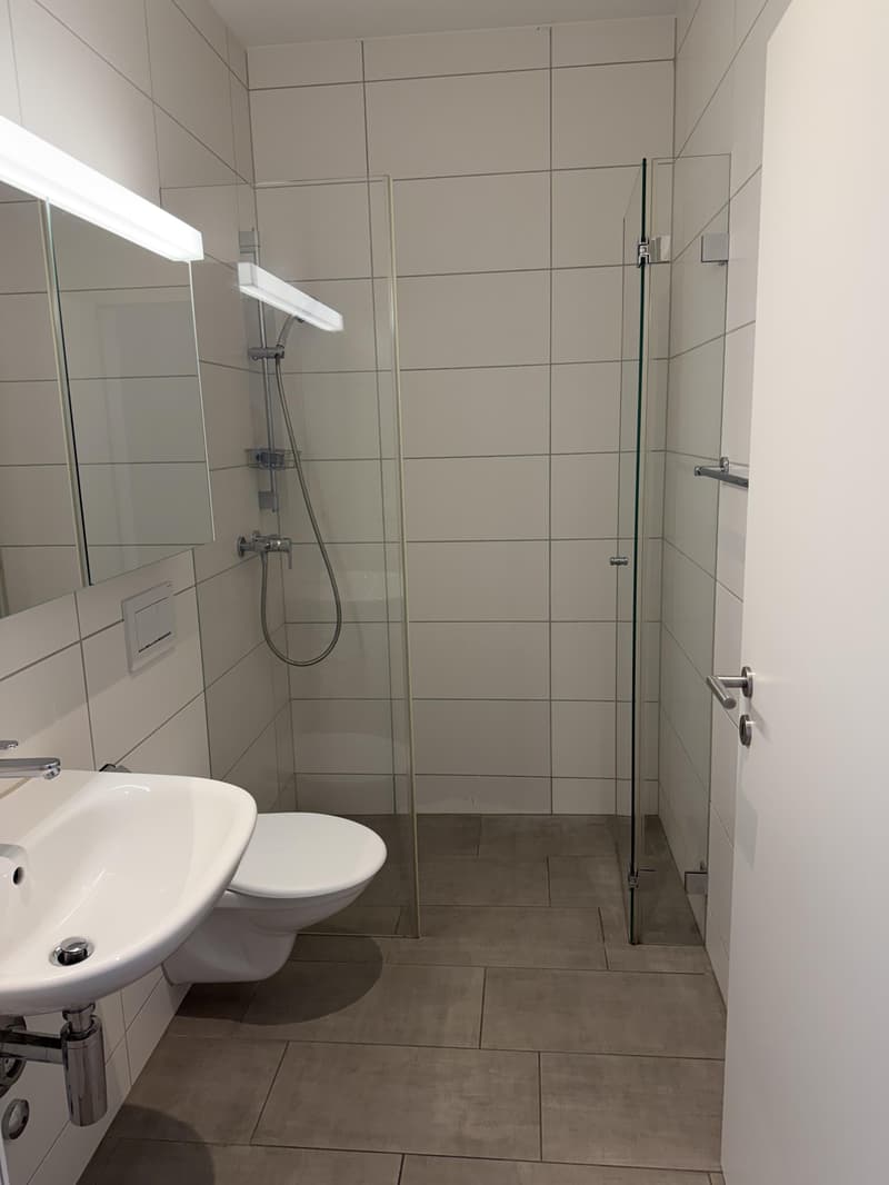Gewerbe in Spreitenbach (5)