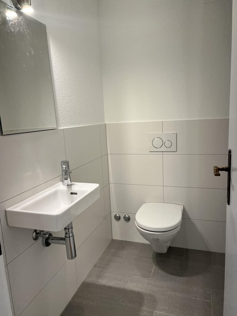 Charmante und zentrale 2.5-Zimmerwohnung in Zürich-Oerlikon (5)