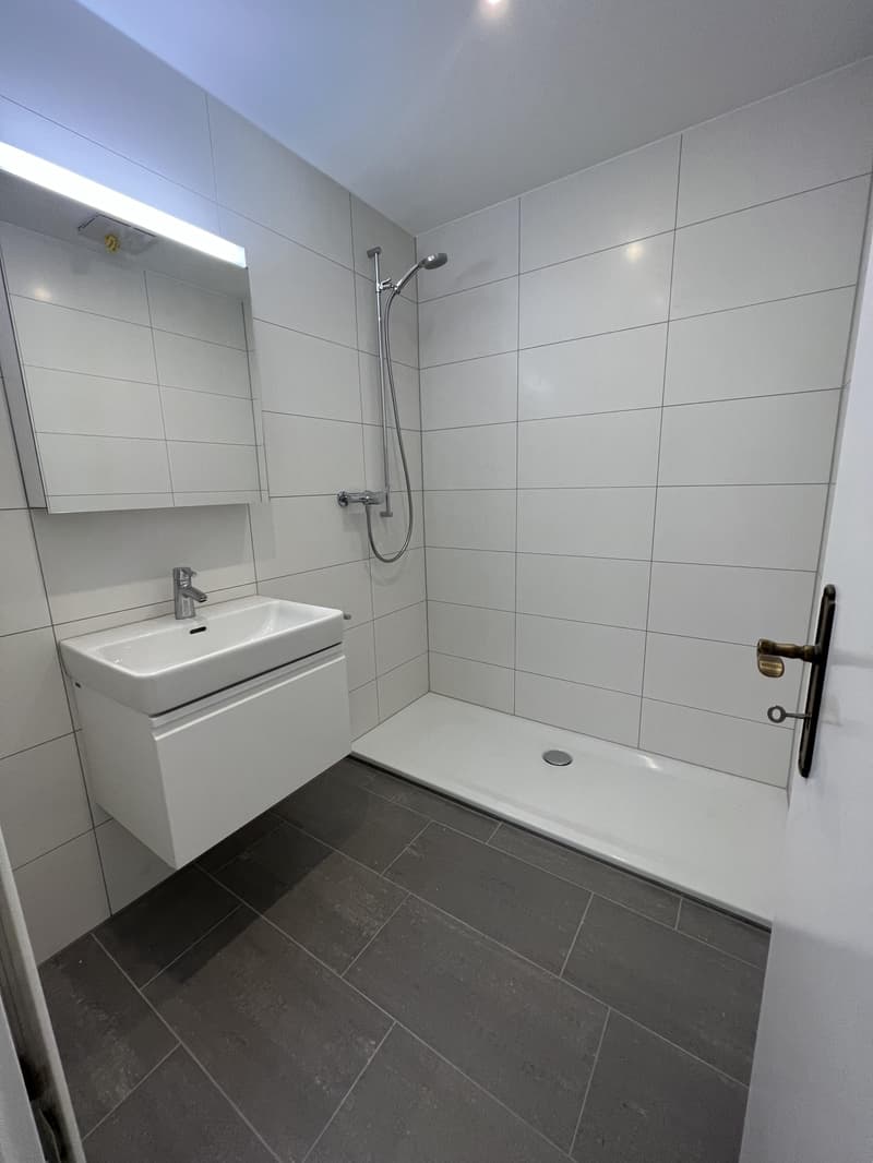 Charmante und zentrale 2.5-Zimmerwohnung in Zürich-Oerlikon (4)