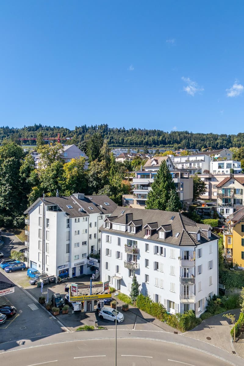 Zentrale 4.5 Zimmerwohnung in Horgen (1)