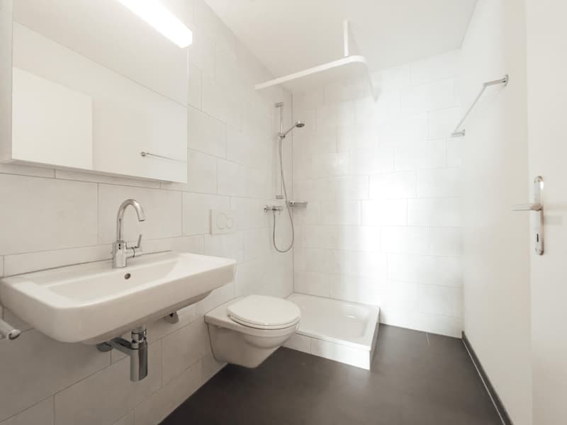 Charmante 3.5 Zimmerwohnung in Neuenhof (3)