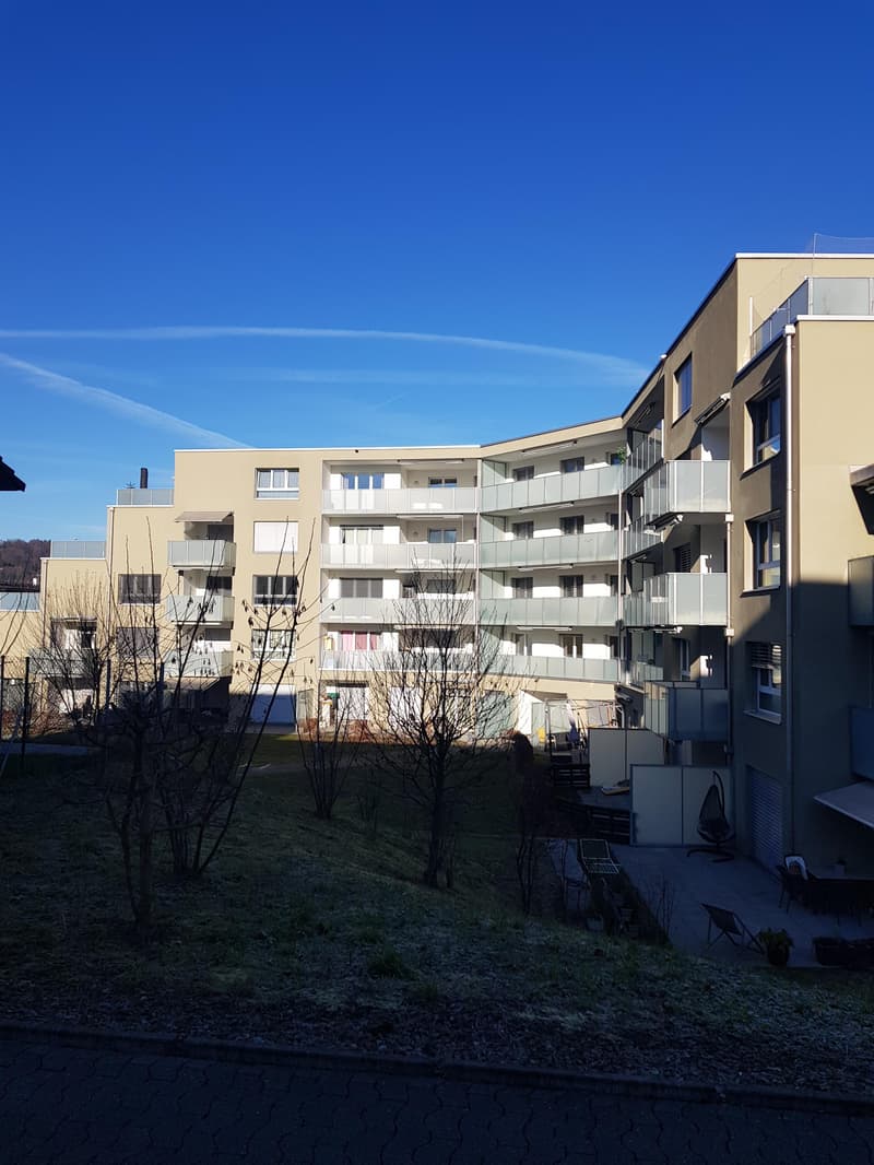 Charmante 3.5 Zimmerwohnung in Neuenhof (1)