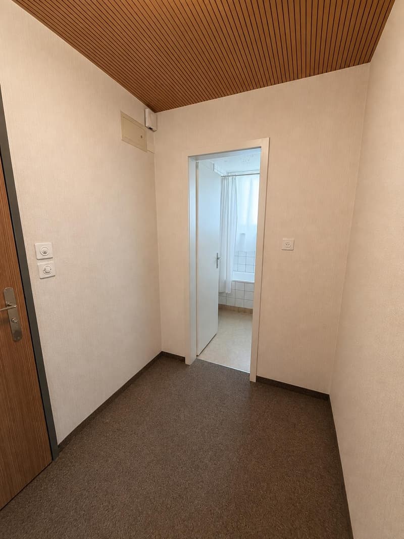 Attraktive 3-Zimmer-Wohnung mit grosszügigem Balkon und Blick ins Grüne (8)