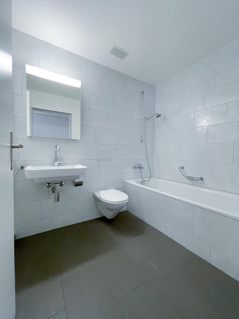 2.5-Zimmer-Wohnung mit Wohlfühlatmosphäre (3)