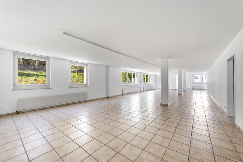Ihre neue Gewerbeläche am linken Zürichseeufer (5)