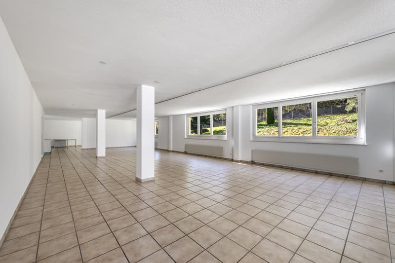 Ihre neue Gewerbeläche am linken Zürichseeufer (7)