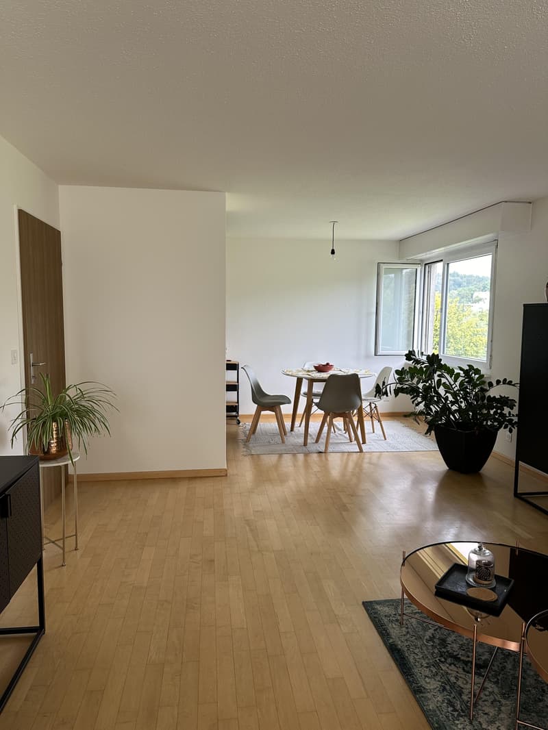 Wohnen inmitten der Rebbergen mit Blick über Zürich (2)