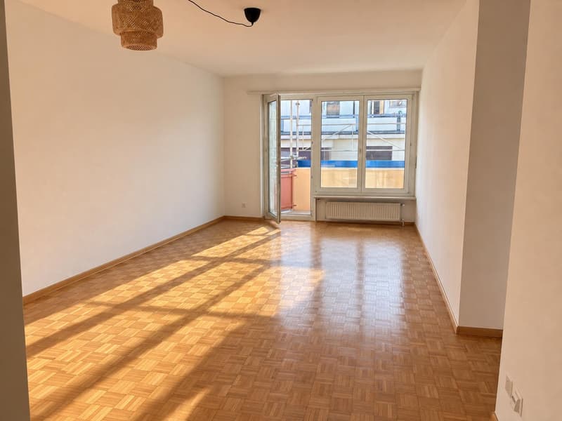 3.0 Zimmerwohnung in Basel (1)